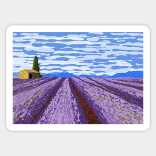 Lavender fields in provence Sticker